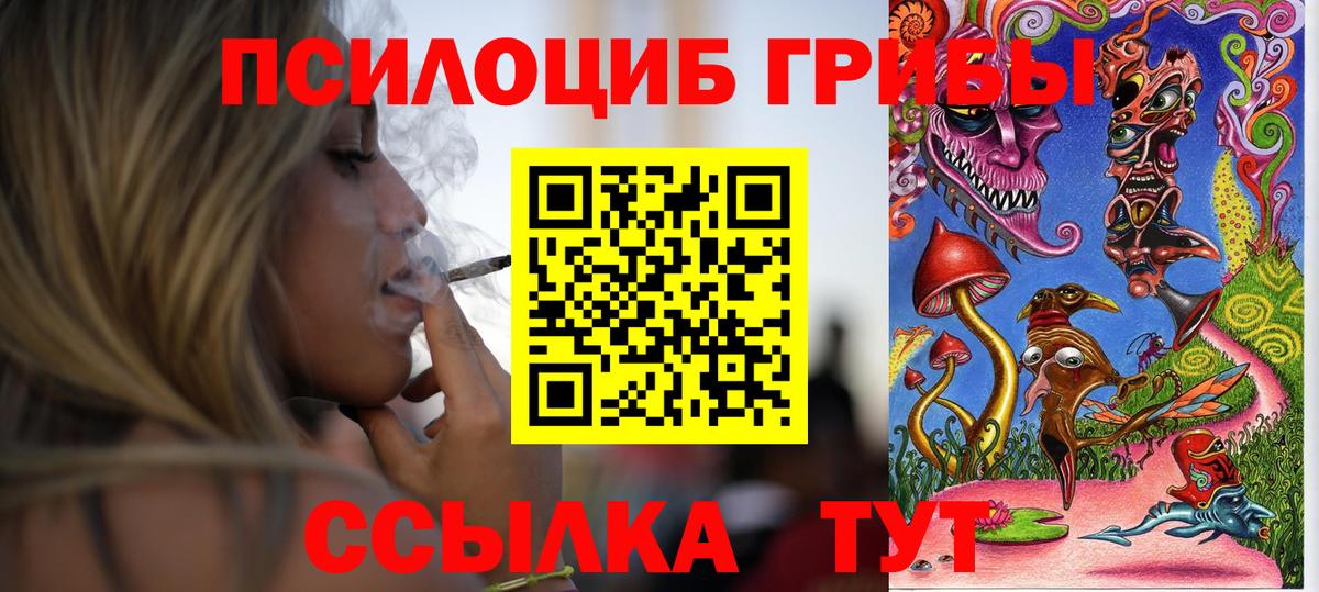 Галлюциногенные грибы прущие грибы Павлово