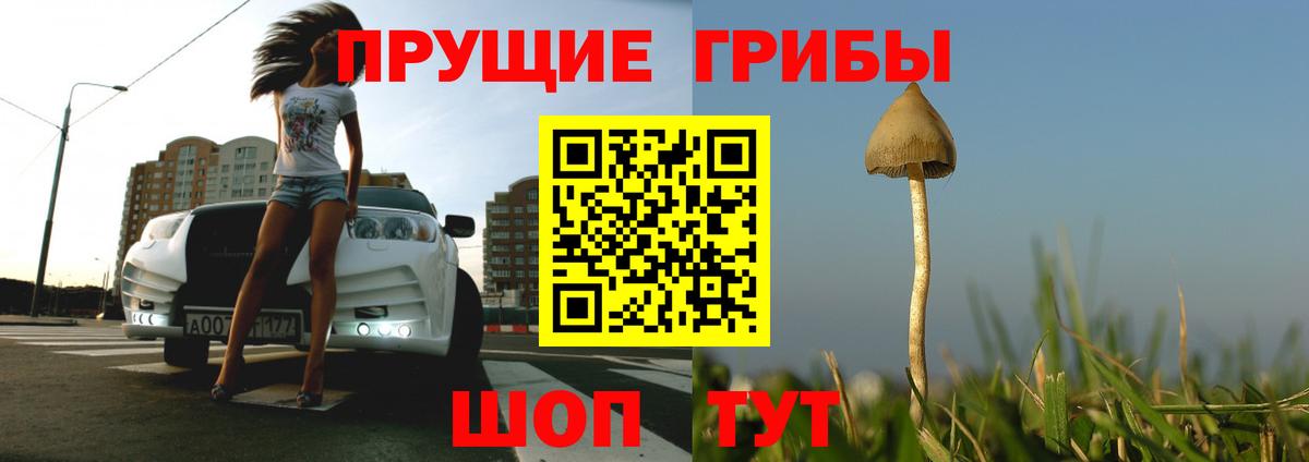 Псилоцибиновые грибы MAGIC MUSHROOMS  Галлюциногенные грибы MAGIC MUSHROOMS  Павлово  Вход с VPN 